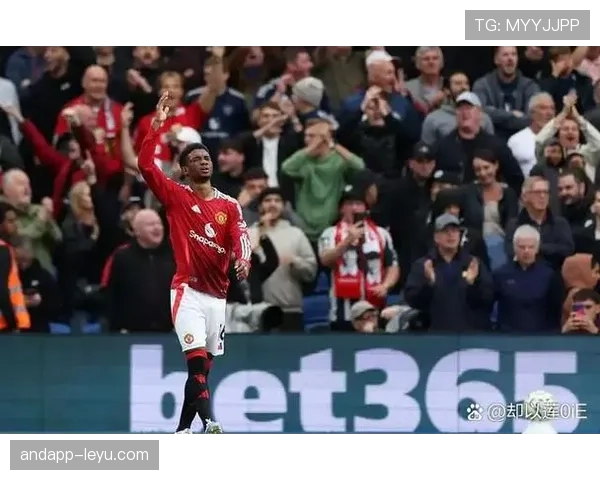 奥地利足球闪耀欧锦赛：历史辉煌再现，球迷期待再创佳绩