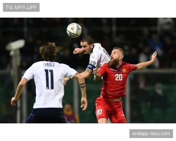 芬兰国家队欧预赛表现稳健，强势崛起成黑马备受瞩目